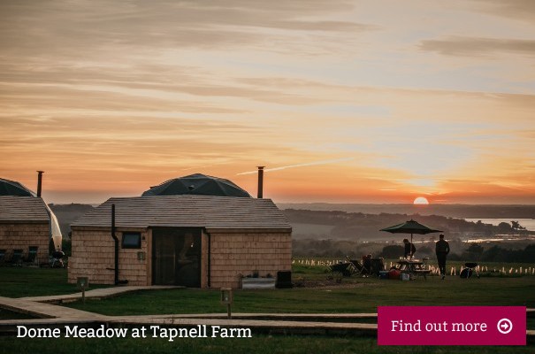 Outside view of Dome Meadow at Tapnell Farm, Isle of Wight